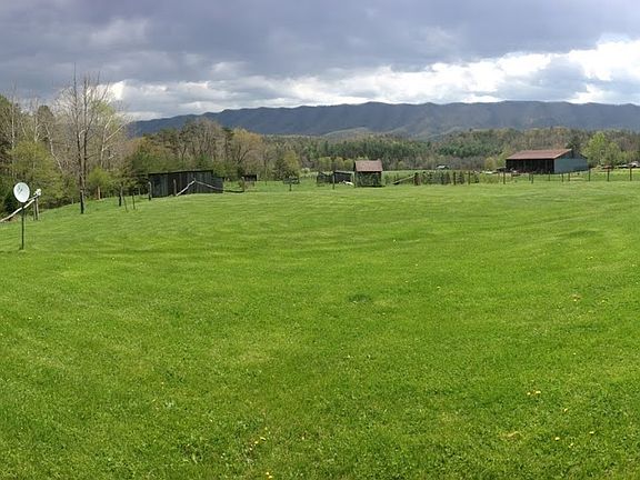 panorama of back yard