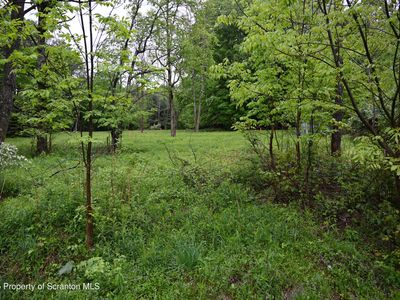 65 Reagan Rd, Brackney, PA, 18812