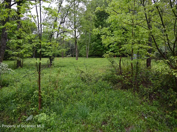 65 Reagan Rd, Brackney, PA 18812