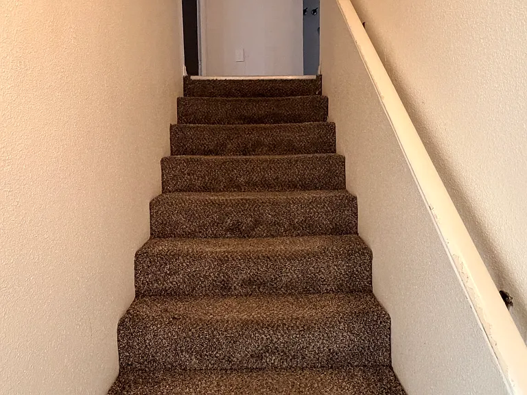 3217 Fortier St #D — Photo 6