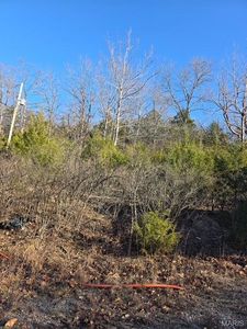 0 Rice Dr, Waynesville, MO, 65583