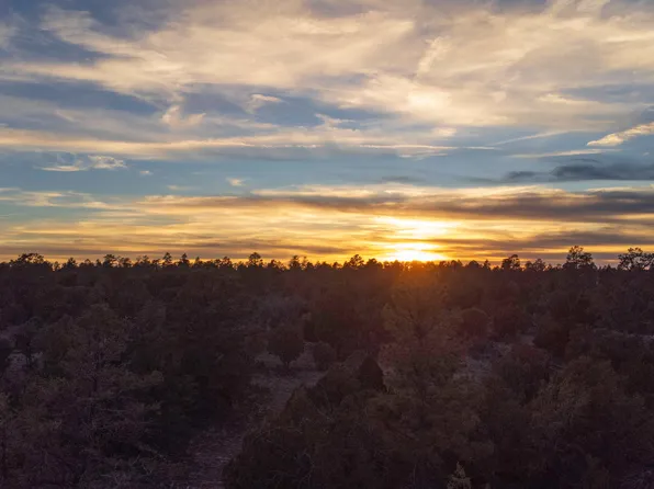 3633 SUNSET RIDGE Loop #166, Happy Jack, AZ 86024