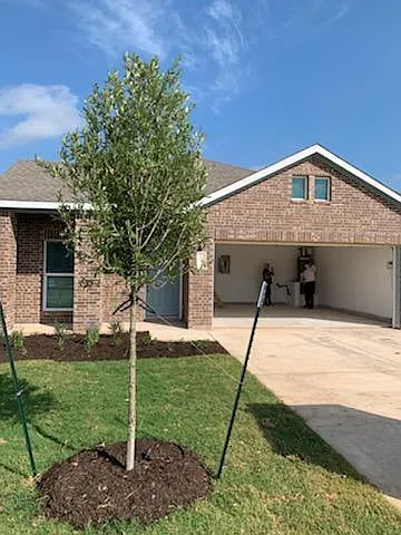 244 George Neggan Ln Photo 1