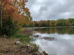 Little Pike Lake Rd, Mercer, WI 54547