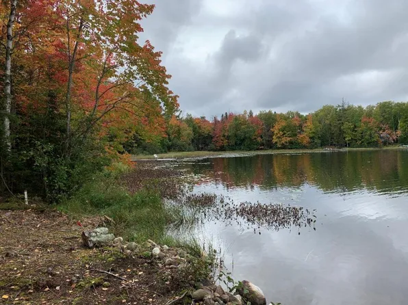 Little Pike Lake Rd, Mercer, WI 54547