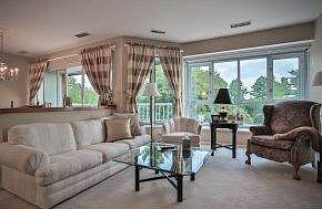 Bright Atrium Windows