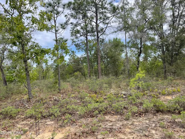 LOT 10 Aquarius Dr, Chipley, FL 32428