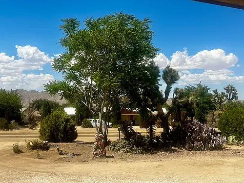 56769 Joshua Dr Photo 1
