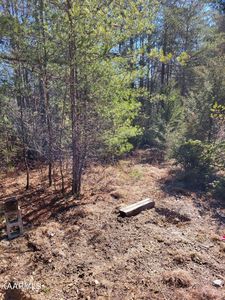 Genesis Rd, Lancing, TN, 37770