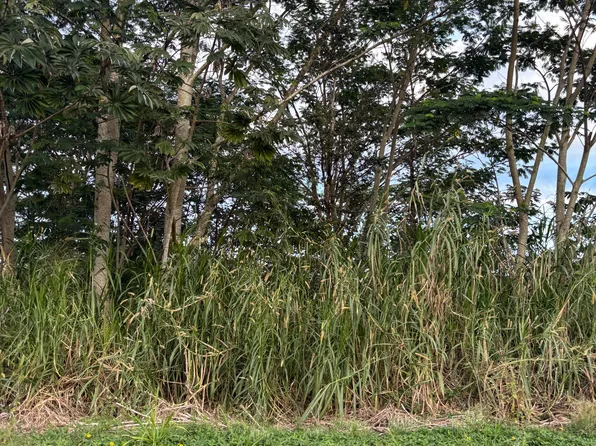Hibiscus Dr Lot 23, Pahoa, HI 96778