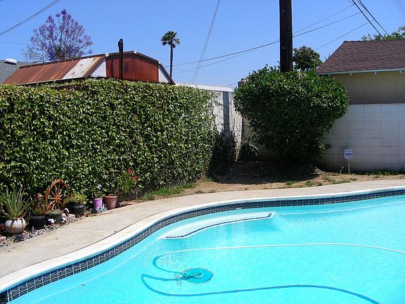 iVY ALL WALLS AROUND POOL