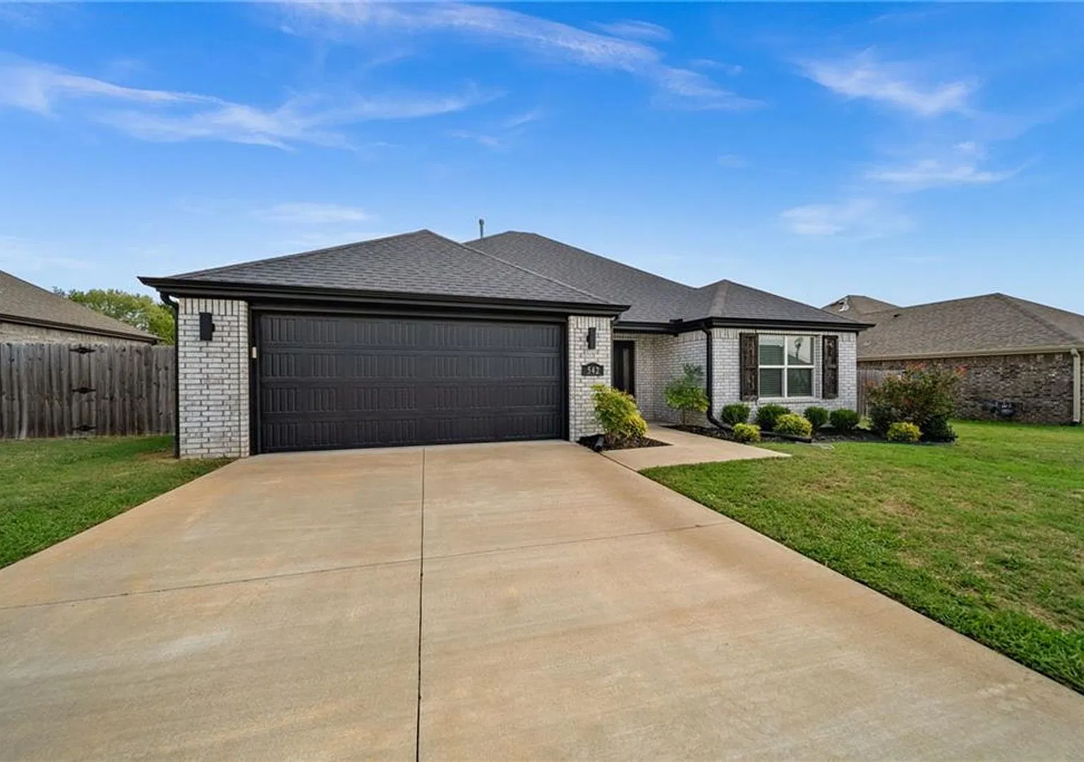 542 Greylag — Photo 1