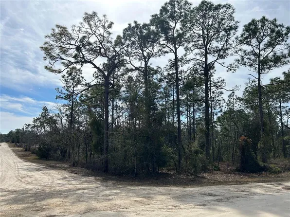 SE 23rd Pl Lot 1, Morriston, FL 32668