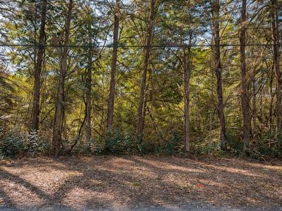 SW 121st Ave, Archer, FL, 32618
