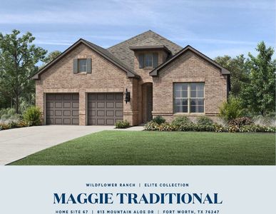 813 Mountain Aloe Dr, Justin, TX, 76247