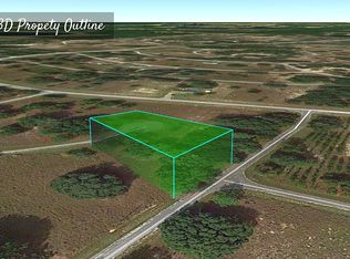 0 Maple Dr, Ocklawaha, FL 32179