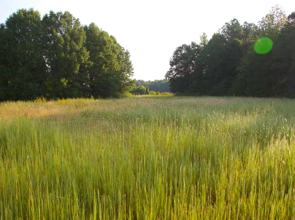 1136 Breedlove Rd, Michigan City, MS 38647