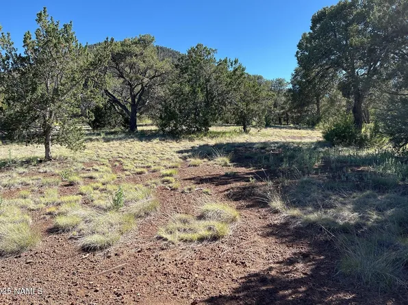 7123 N Audrey Way, Williams, AZ 86046