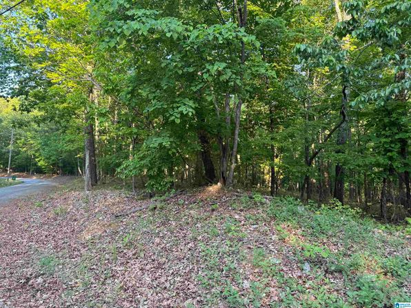 0 Davis Acres Dr #72 & 73, Alpine, AL 35014