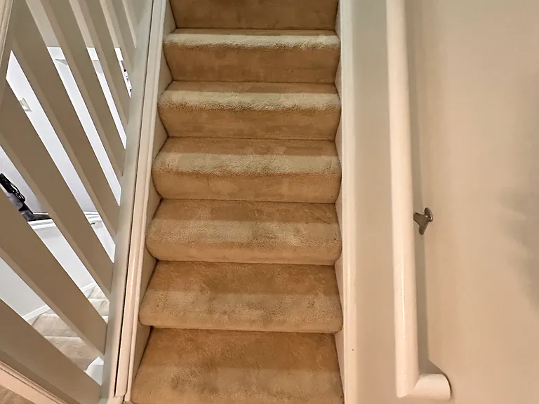 2355 Coyote Creek Dr — Photo 13
