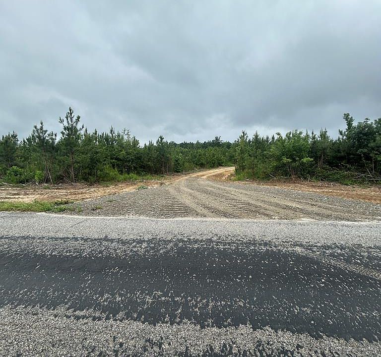 1st image of Kings Rd #B1