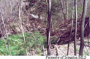 2nd image of 0 Schneider