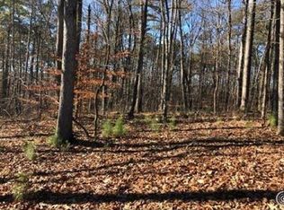 173 Sardis Creek Dr, Canton, GA 30114