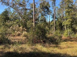 0 Rollins Rd, Interlachen, FL 32148