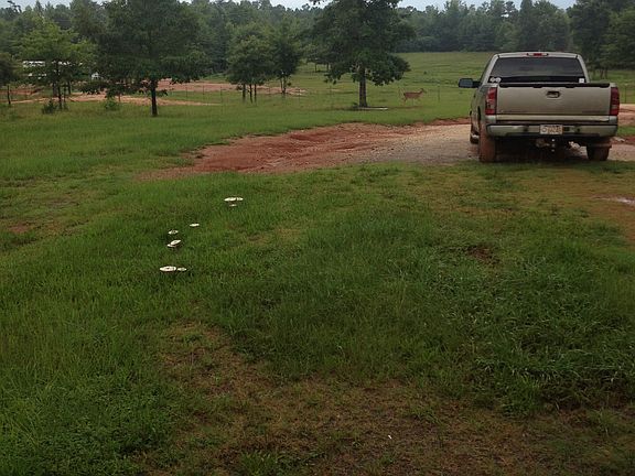 2nd image of 8890 Al Highway 22