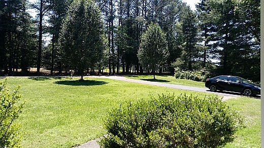 Large front yard