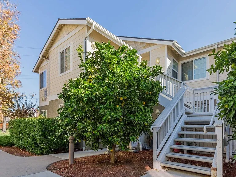 Citrus Court Apartments — Photo 6