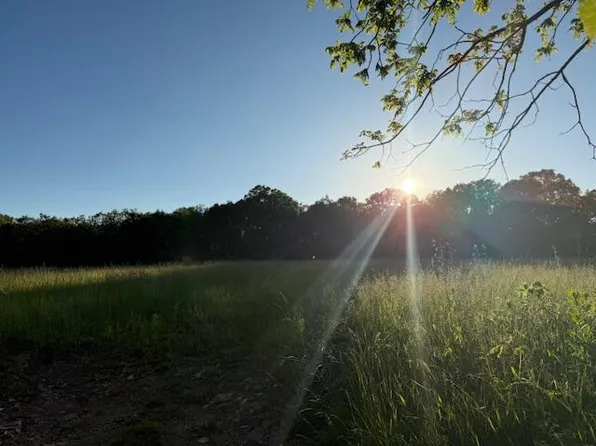 3763 Wolfe Drive, Mountain Grove, MO 65711