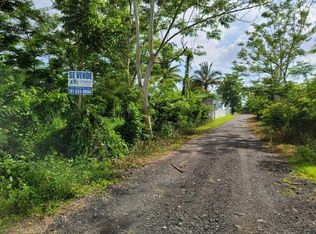 401 Prairie, Anasco, PR 00610