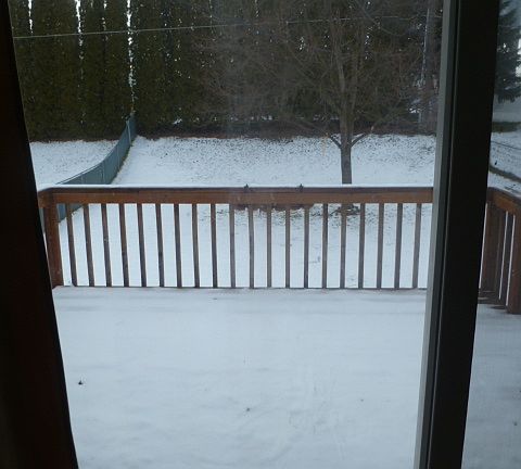 large back yard with deck