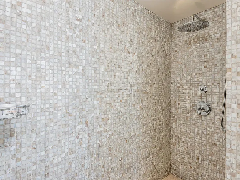 Master bath shower