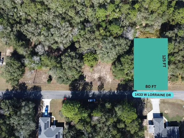 1433 W Lorraine Dr, Citrus Springs, FL 34434