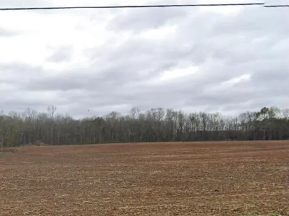 TRACT 18 Hays Mill Rd, Elkmont, AL 35620