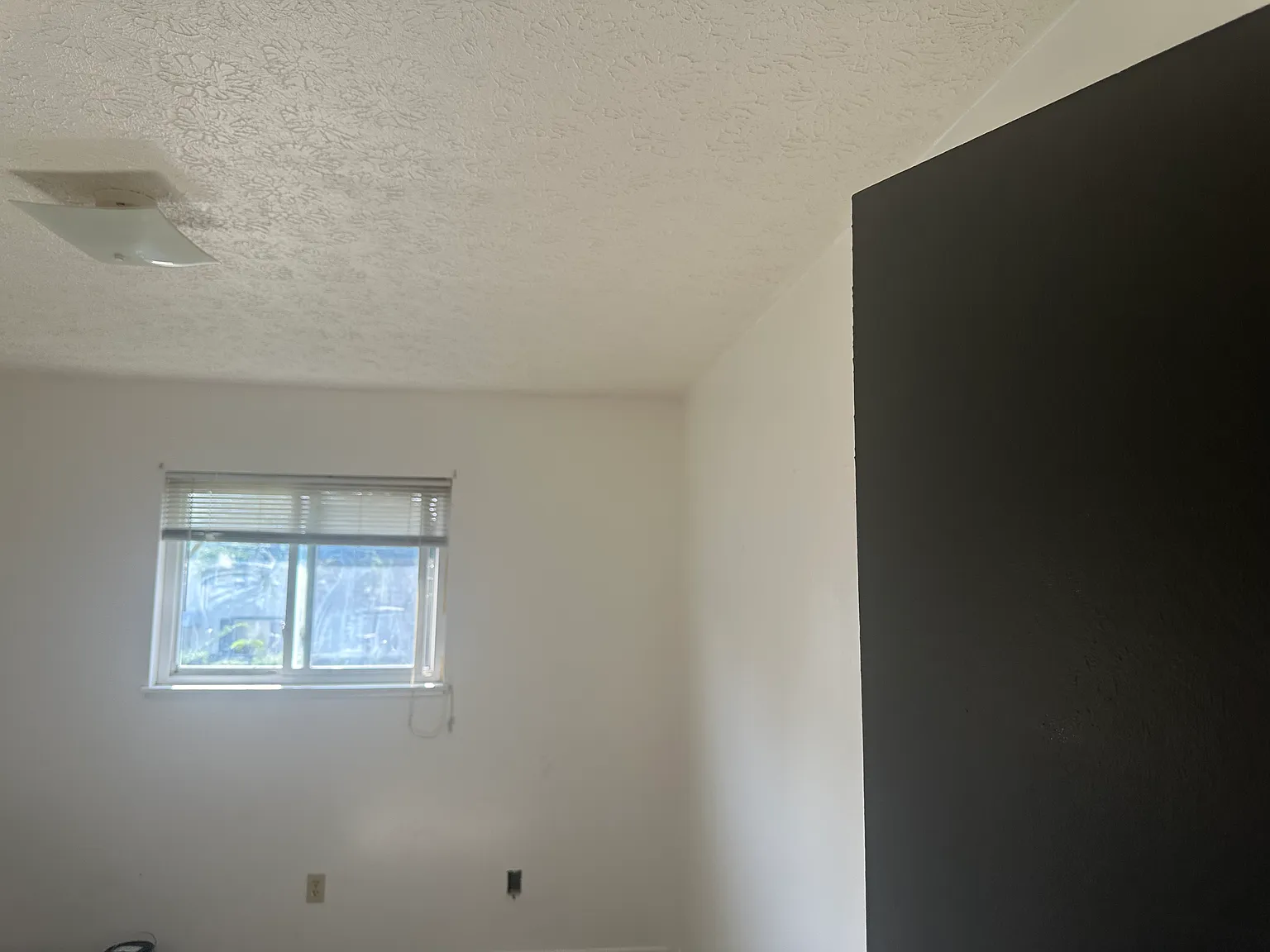 & 1239 Roslyn Ave, Akron — Photo 4