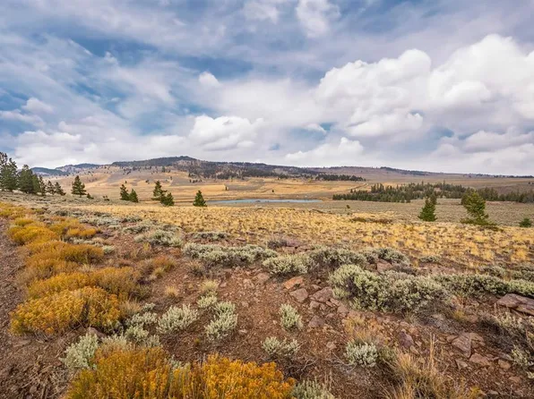 663 Castle Circle, Powderhorn, CO 81243
