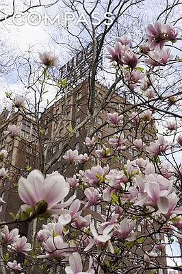 Rented by Compass | media 26