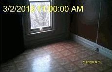 5th image of 425 W Liberty St