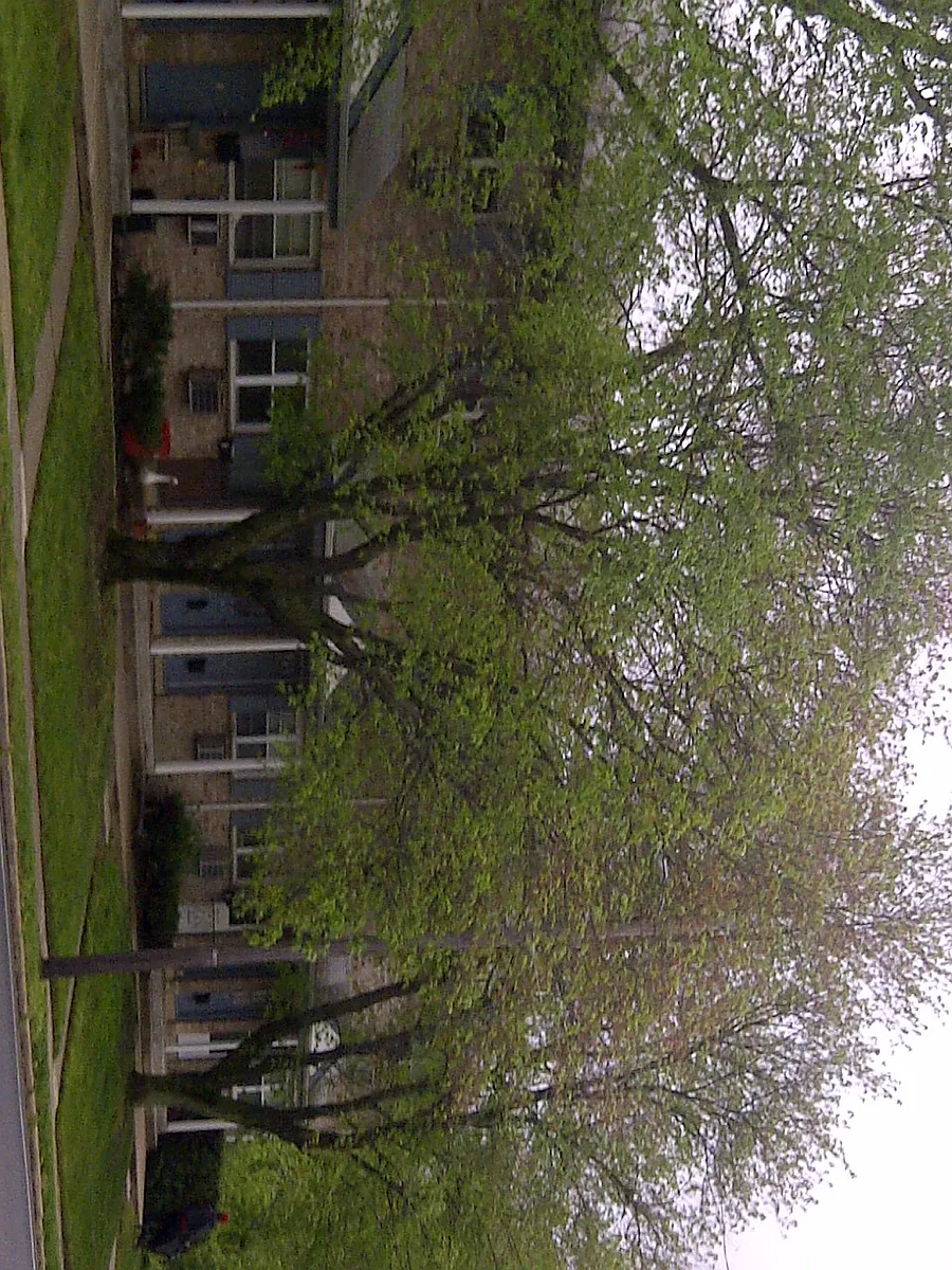 Building Photo - 3 W Somerdale Rd