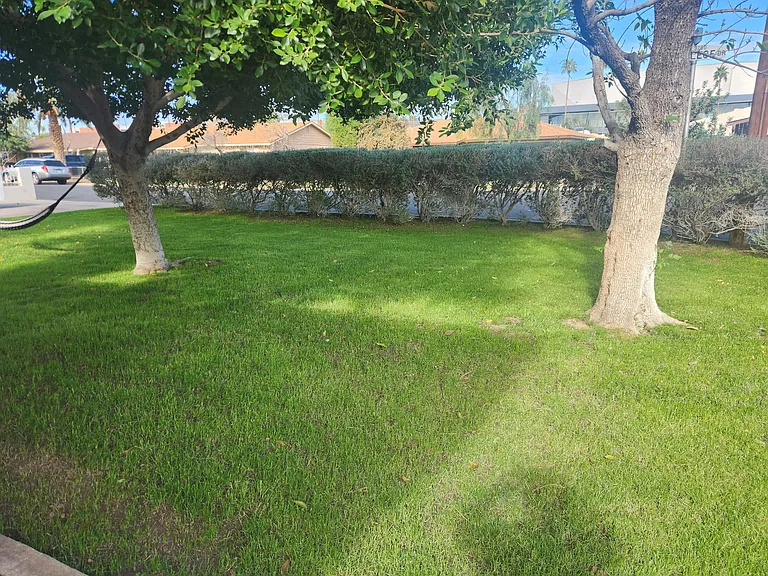 3229 W College Dr — Photo 2
