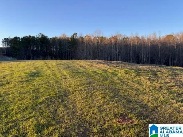 3586A County Road 26, Wadley, AL 36276