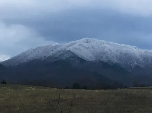 0 Little Meadow Creek Rd Lot 1, Greeneville, TN 37743