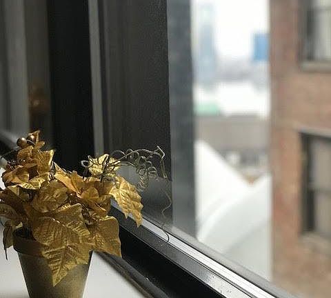 3rd image of 15 Park Row APT 16G