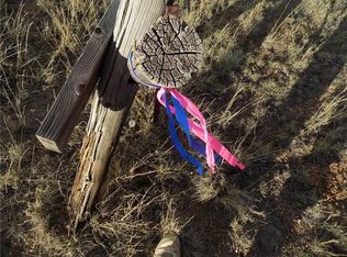 176 Hawk Way, Como, CO 80456