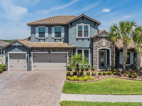 29043 Picana Ln, Wesley Chapel, FL 33543