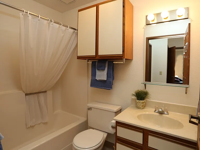 Island Place Apartments - On the River — Photo 29