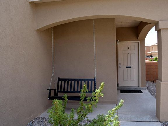 11804 Native Dancer (2)